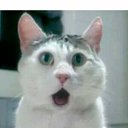 ���� ���������, �����, 29 ��� - ��������� 21 ���� 2026 � ������ ���� ����������