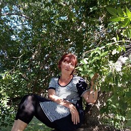 �����, ����, 53 ����