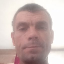 ������, ������, 43 ����