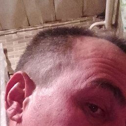  , 44 , 