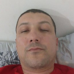 , 37, 