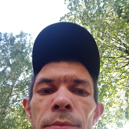 , 37 , -