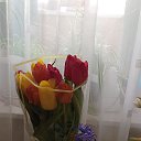 ���� �������, ������������, 44 ���� - ��������� 30 ������ 2025 � ������ ���� ����������