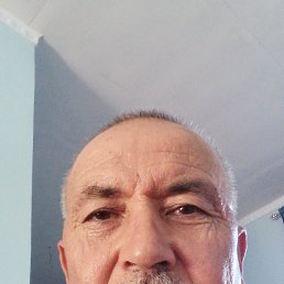 ���� �����, ������, 66 ��� - ��������� 1 ���� 2026