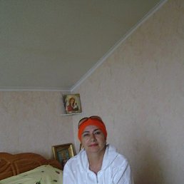, 66, 