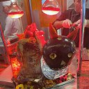 ���� ������, ������, 65 ��� - ��������� 1 ���� 2024 � ������ ������� 2024�