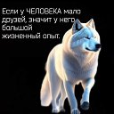 ���� ��������, �������, 74 ���� - ��������� 28 ������ 2026 � ������ ������ ��������