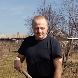 , 63, -