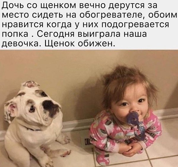 ����� ���� �������