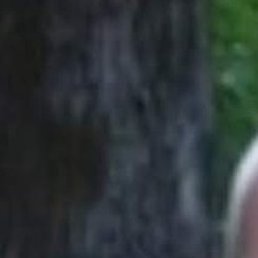 �����, �����������, 50 ���