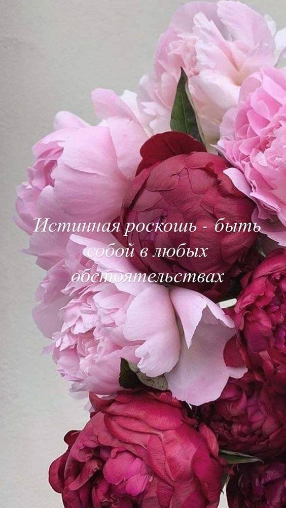   - 28  2024  16:50