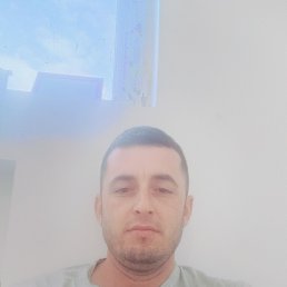 , 31, 