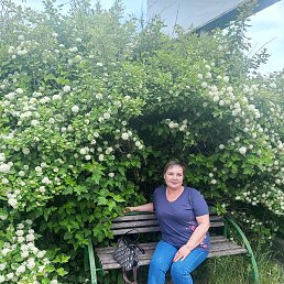 �����, ������������, 54 ����