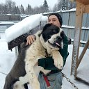 ���� ���������, �����, 53 ���� - ��������� 1 ��� 2025 � ������ ���� ����������