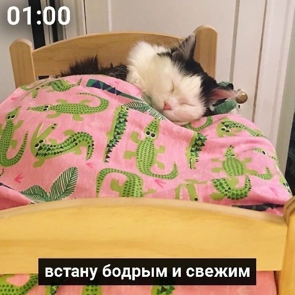 ������ ����� - 3