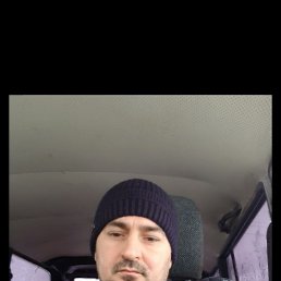 , 41, 
