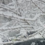 �������, 36 ���, �����-���������