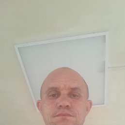 ������� ������, 38 ���, �������