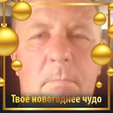  ,  , 53  -  11  2024    