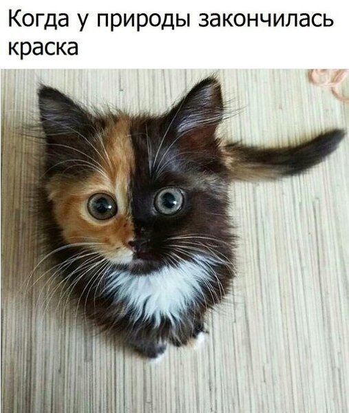 ☆   ☆ - 8  2024  02:37