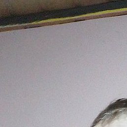 ����, ������, 38 ���