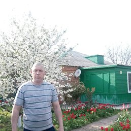 ���� �����, ������������, 40 ��� - ��������� 20 ������ 2025