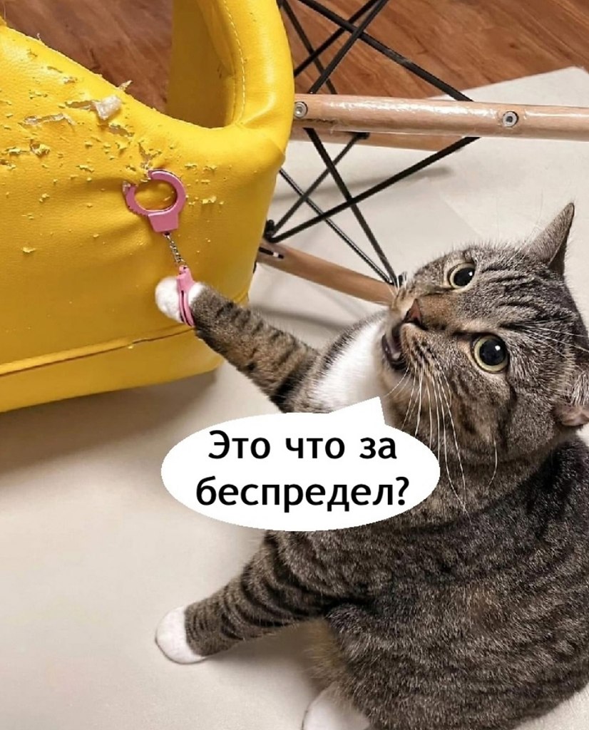 ,   !