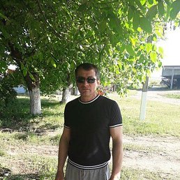 ������, �������, 42 ����