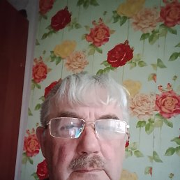 , 66 , 