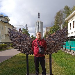 ���� ����������, �����-���������, 41 ���