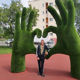 ���������, �����������, 31 ���