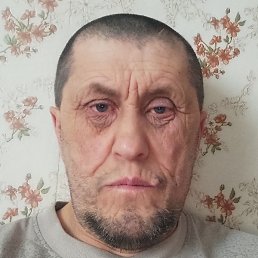 ����, ������, 41 ���