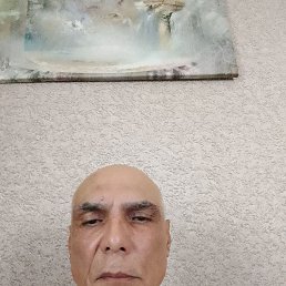 , 54, 