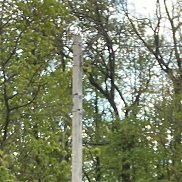 �������, 18 ���, ����