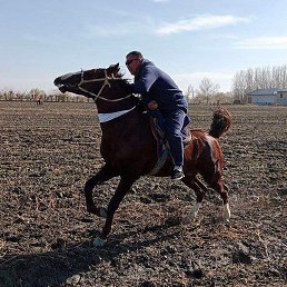 Mansur Ataboyev, �����, 41 ���