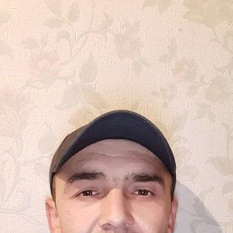 , 37, 