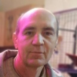 ����, ����, 50 ���