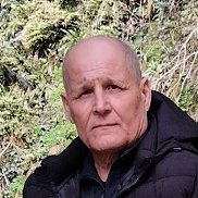 , 62 , 