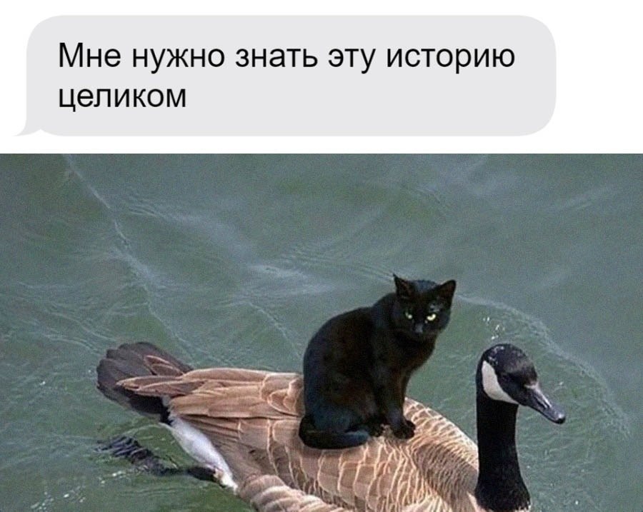    - 12  2025  12:19