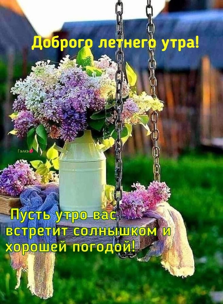   ,    . - 2  2025  23:49