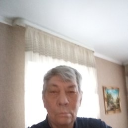 , 52, 