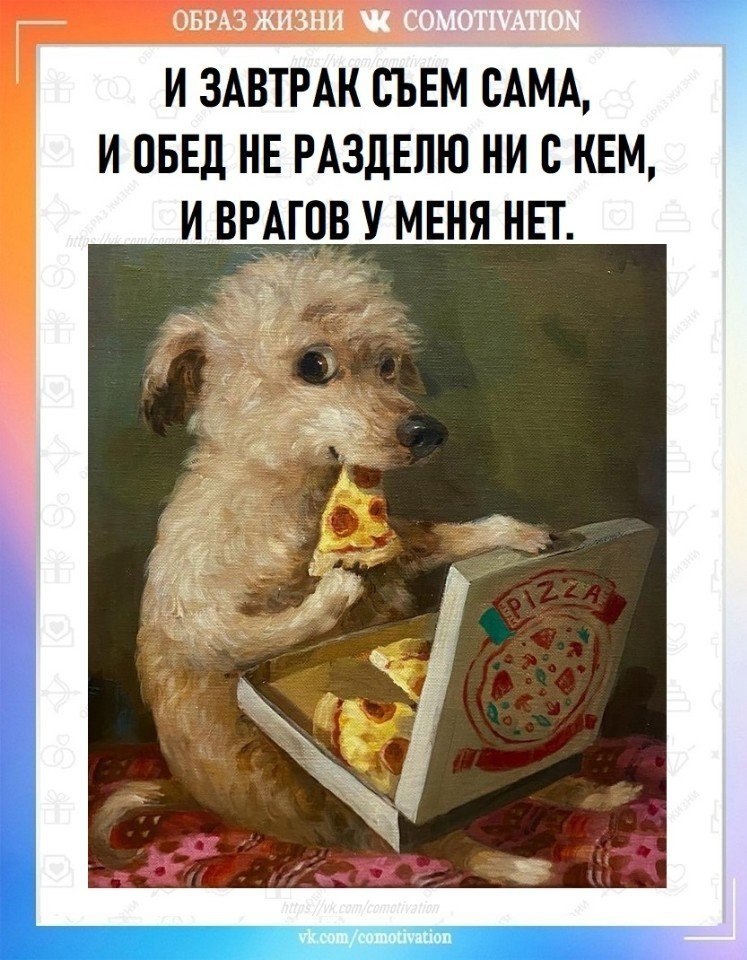 Co-Motivation.... . - 13  2025  09:33