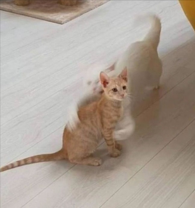  )))