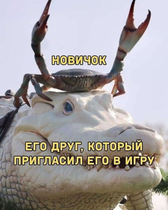 ? ,  ! - 24  2024  02:47