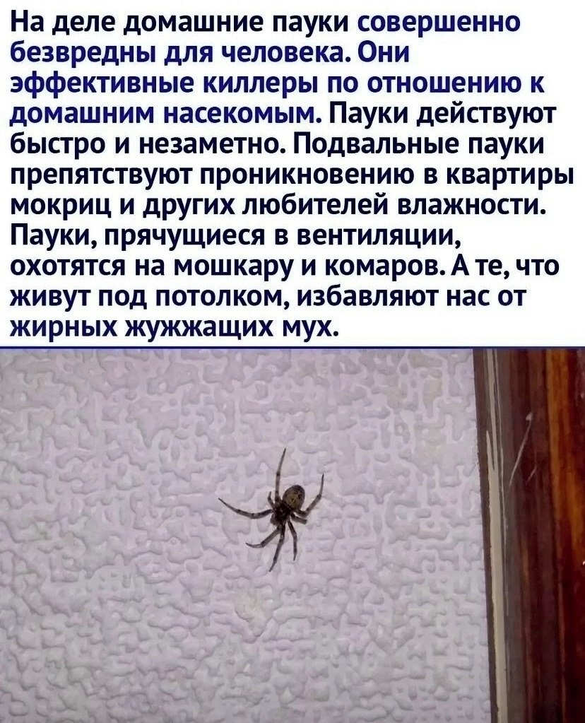    - 3
