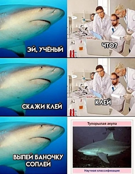 �� ���������� ������������� ����� ������ ���������� �� ������ ������� ������������, �� ����� ������� ...