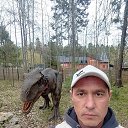 ���� �����, �����, 40 ��� - ��������� 10 ������ 2026 � ������ ���� ����������