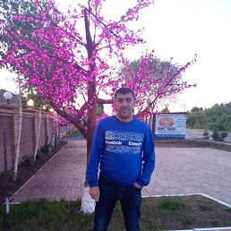 , 45, 