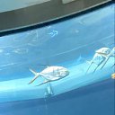 ���� ����� ��������, ������, 51 ��� - ��������� 11 ������ 2026 � ������ ���� ����������