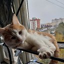 ���� ��������, ������, 61 ��� - ��������� 27 ������ 2025 � ������ ������ ��������